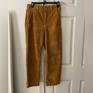 Everlane Size 2 Orange Corduroy Pants